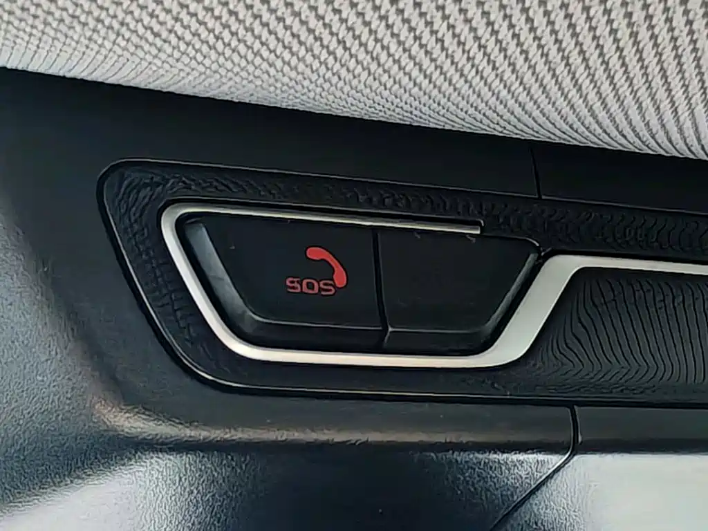Geely Borui Hybrid 2021 — фото 10