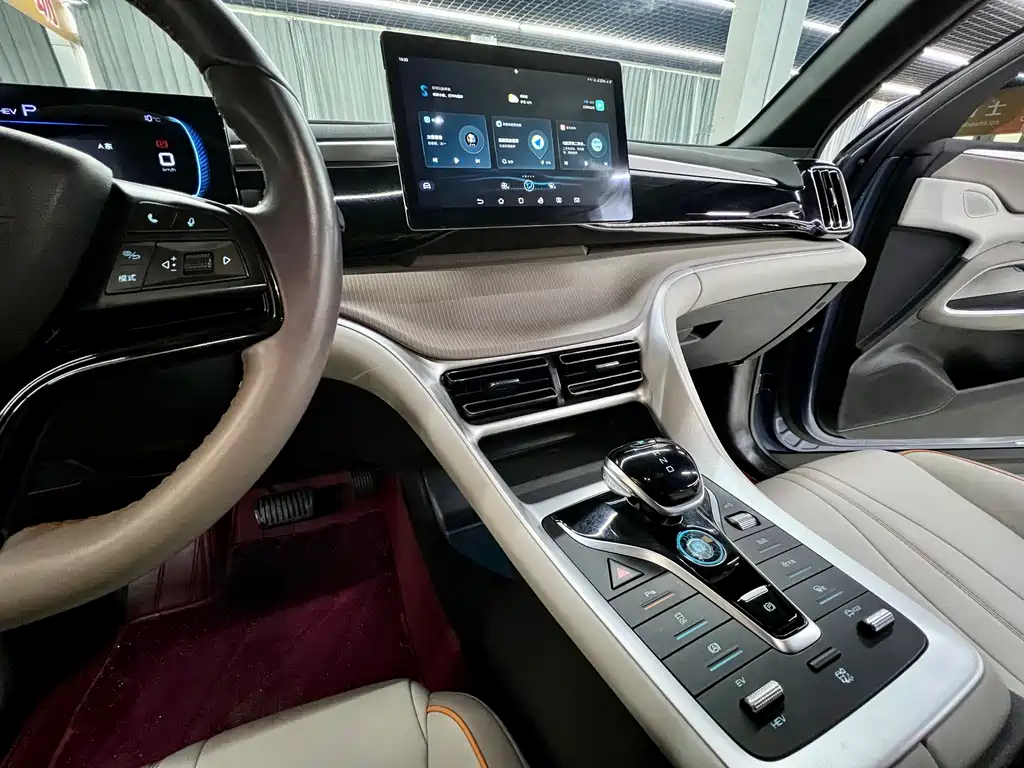 BYD Pro New Energy 2024 — фото 12