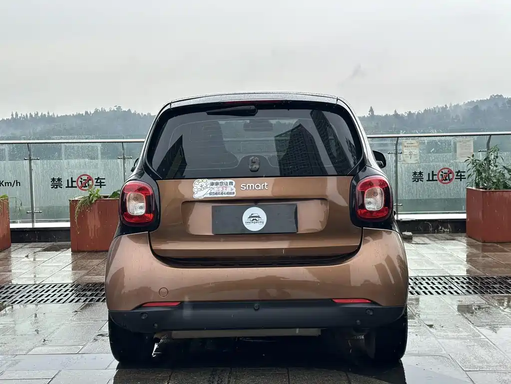 smart fortwo 2016 — фото 11