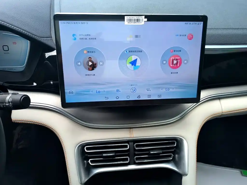 BYD Song PLUS New Energy 2024 — фото 13