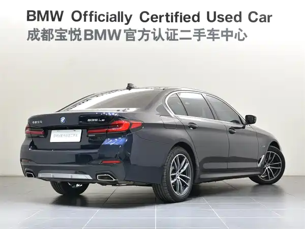 BMW 5 Series New Energy 2022