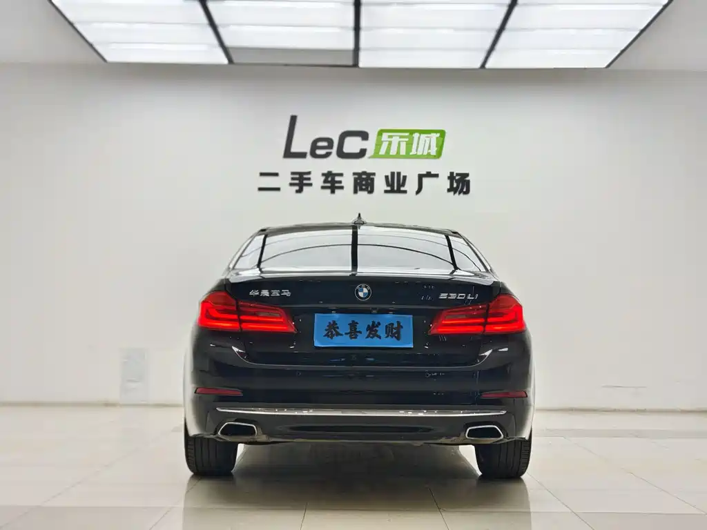 BMW 5 Series 2019 — фото 14
