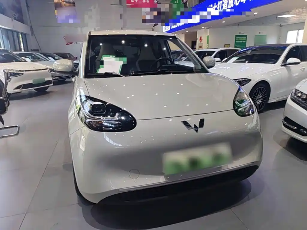 Wuling Bingo 2024