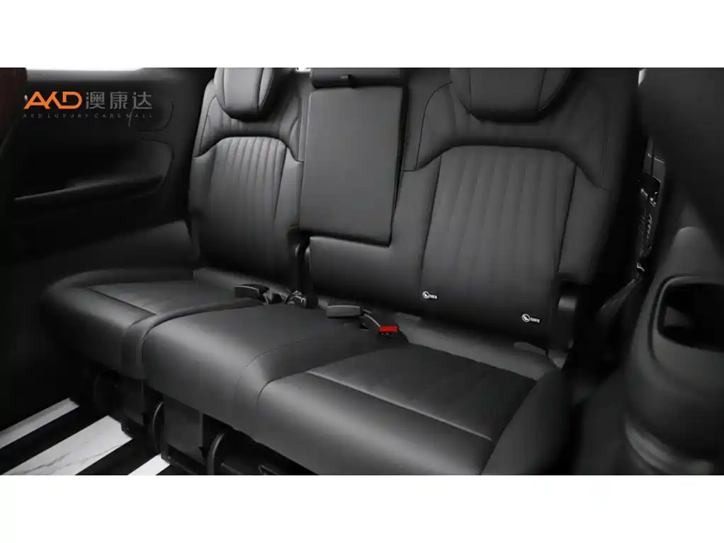GAC Trumpchi E9 2023 — фото 9