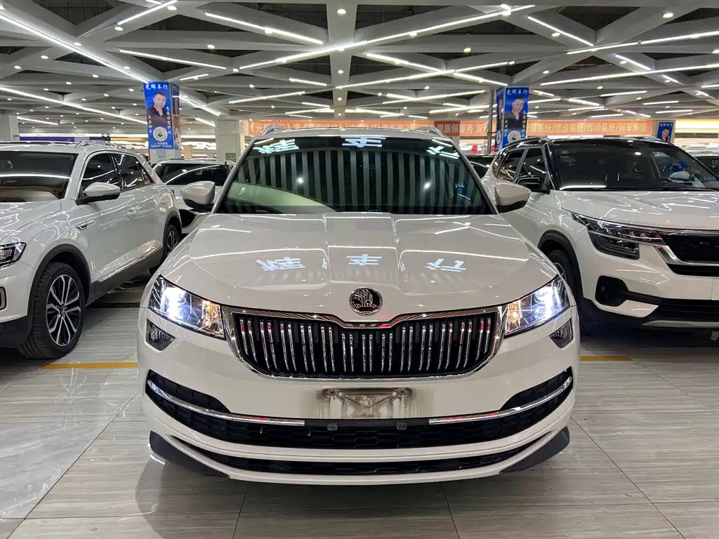 Skoda Karoq 2022 — фото 2