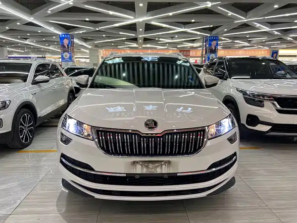 Skoda Karoq 2022