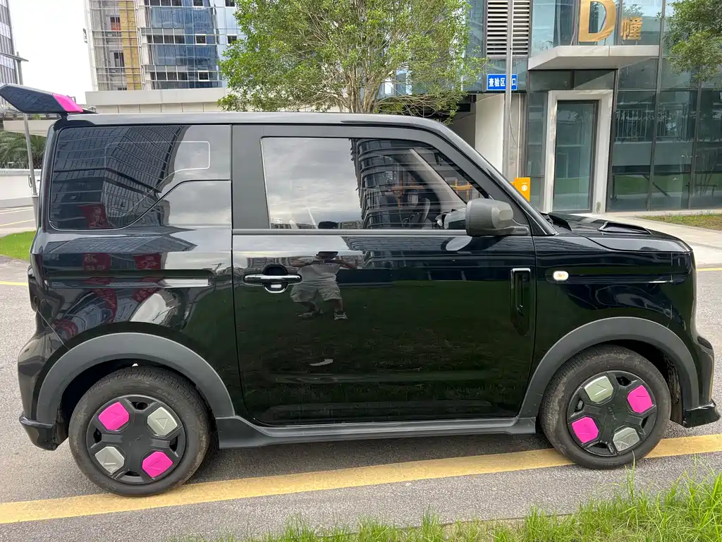 Galaxy Panda 2025