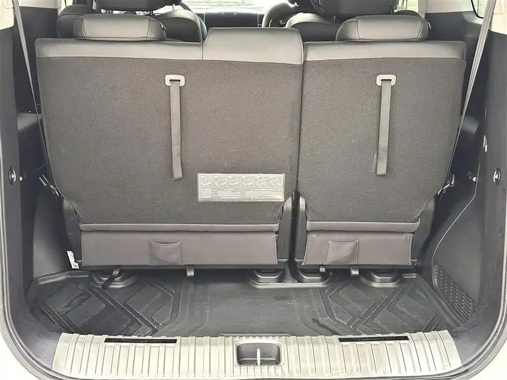 GAC Motor Trumpchi M8 2024 — фото 25