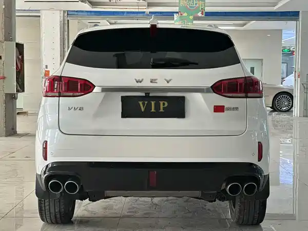 Wey VV6 2020
