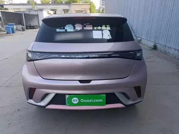 BYD Dolphin 2022