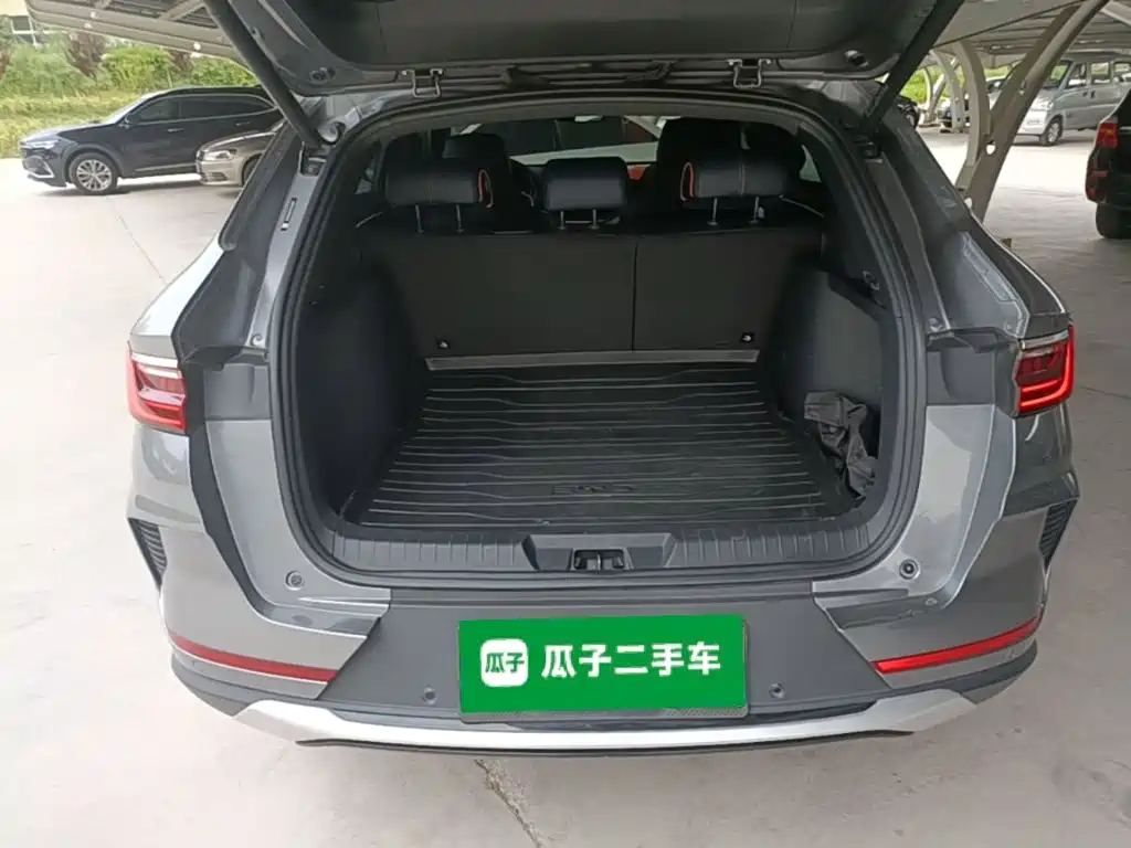 BYD PLUS New Energy 2023 — фото 19
