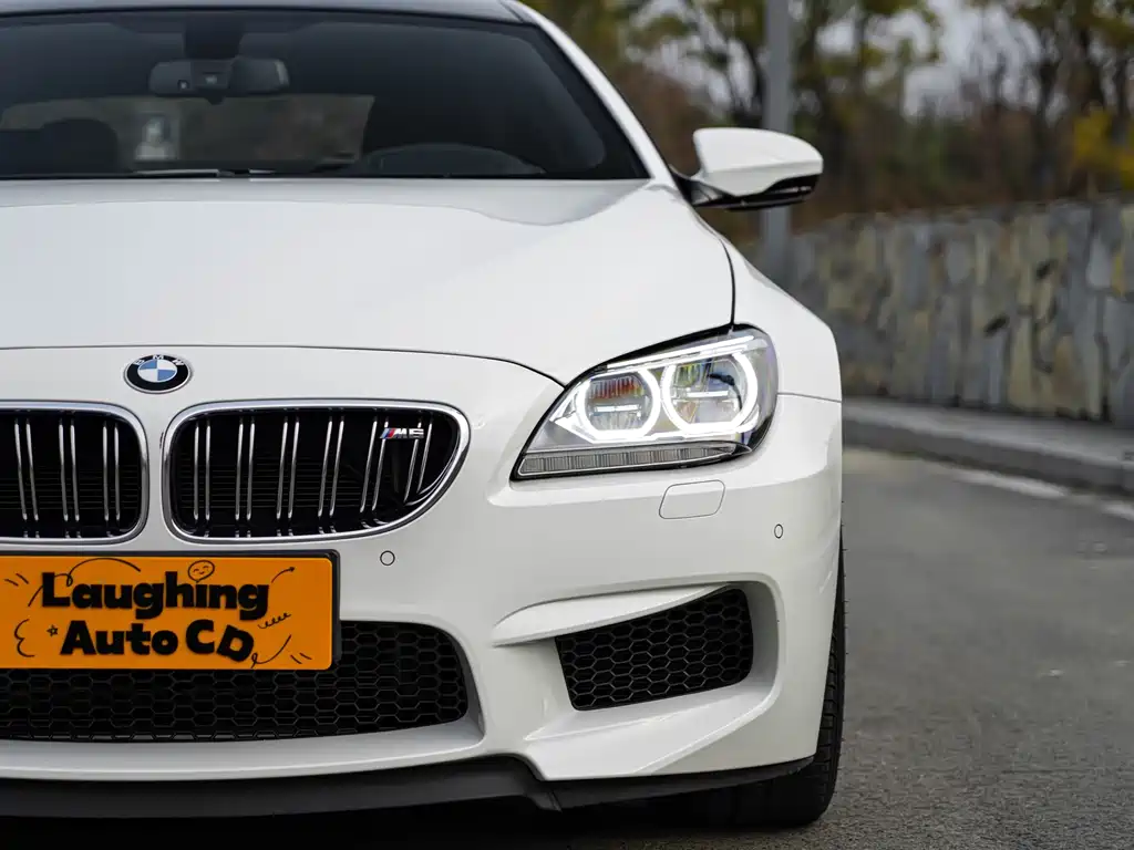 BMW M6 2015 — фото 5