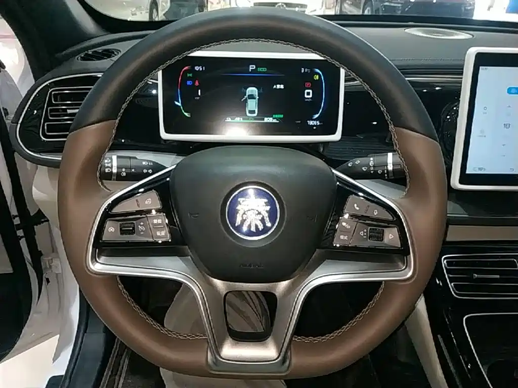 BYD Qin PLUS 2024 — фото 11