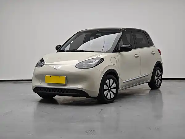 Wuling Bingo 2024