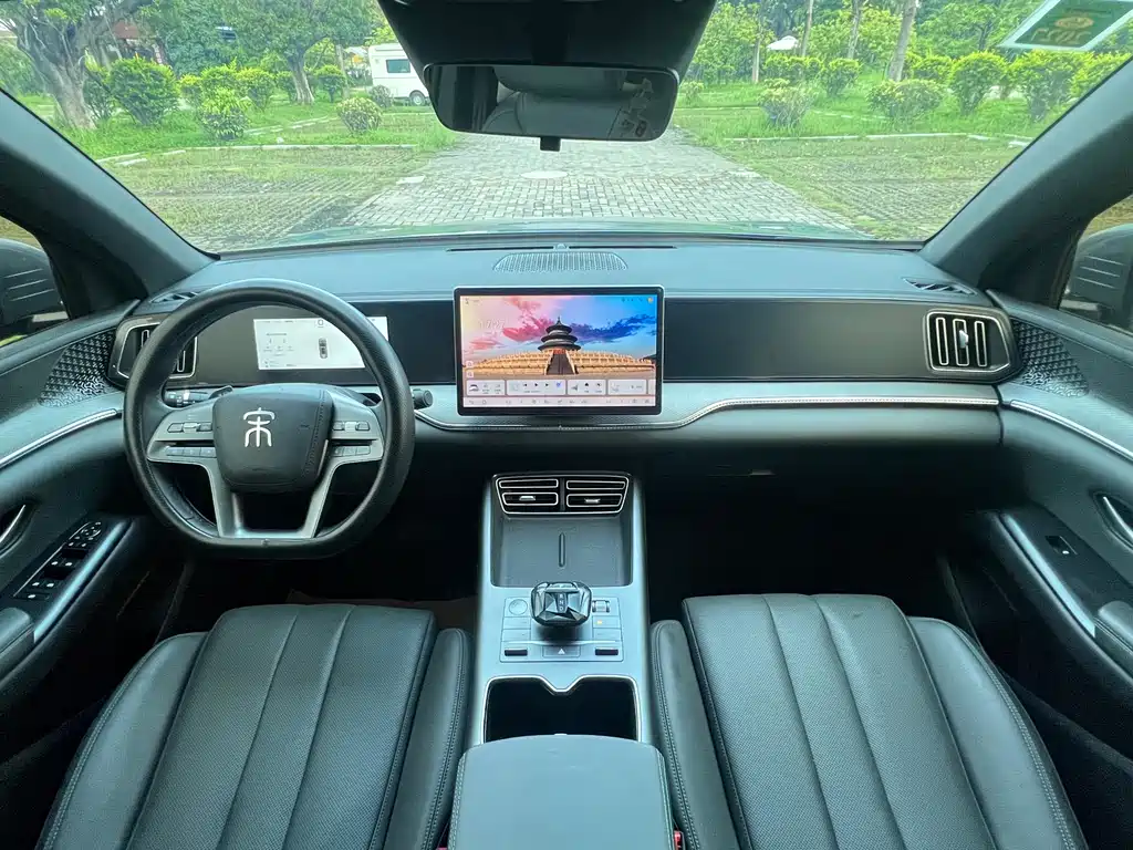 BYD Pro New Energy 2025 — фото 12
