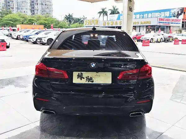 BMW 5 Series 2019