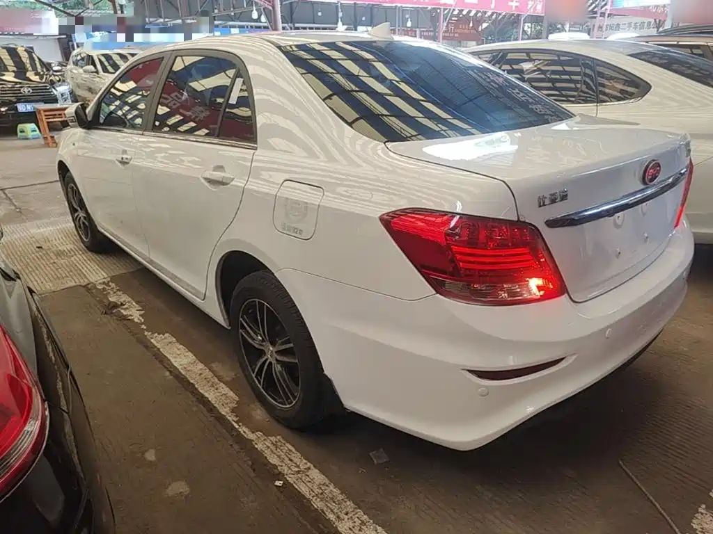 BYD Surui 2017