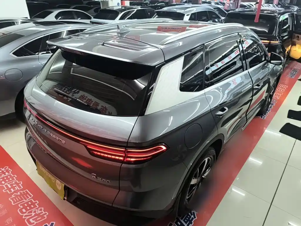 BYD Pro New Energy 2024 — фото 7