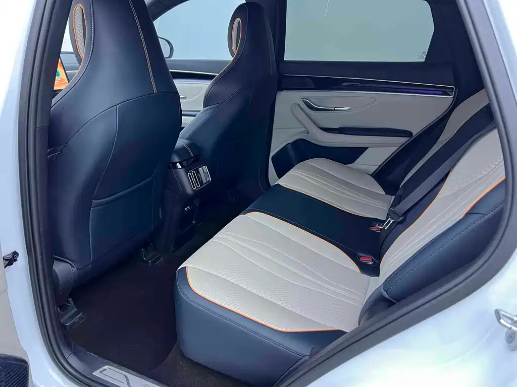 BYD PLUS New Energy 2023 — фото 11