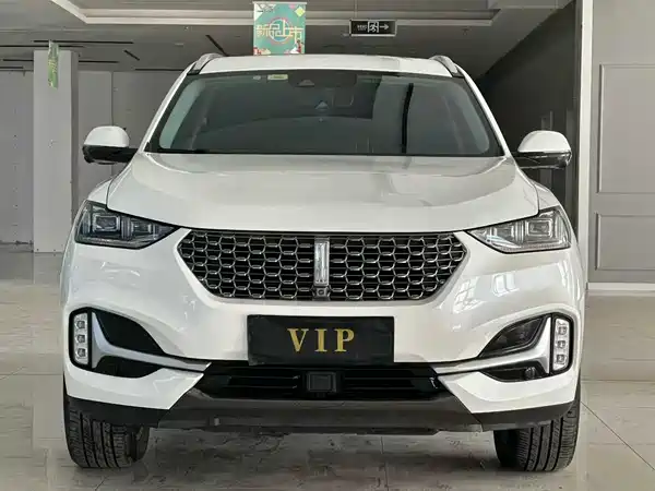 Wey VV6 2020