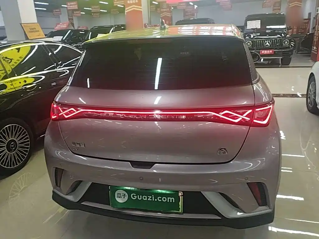 BYD Dolphin 2022