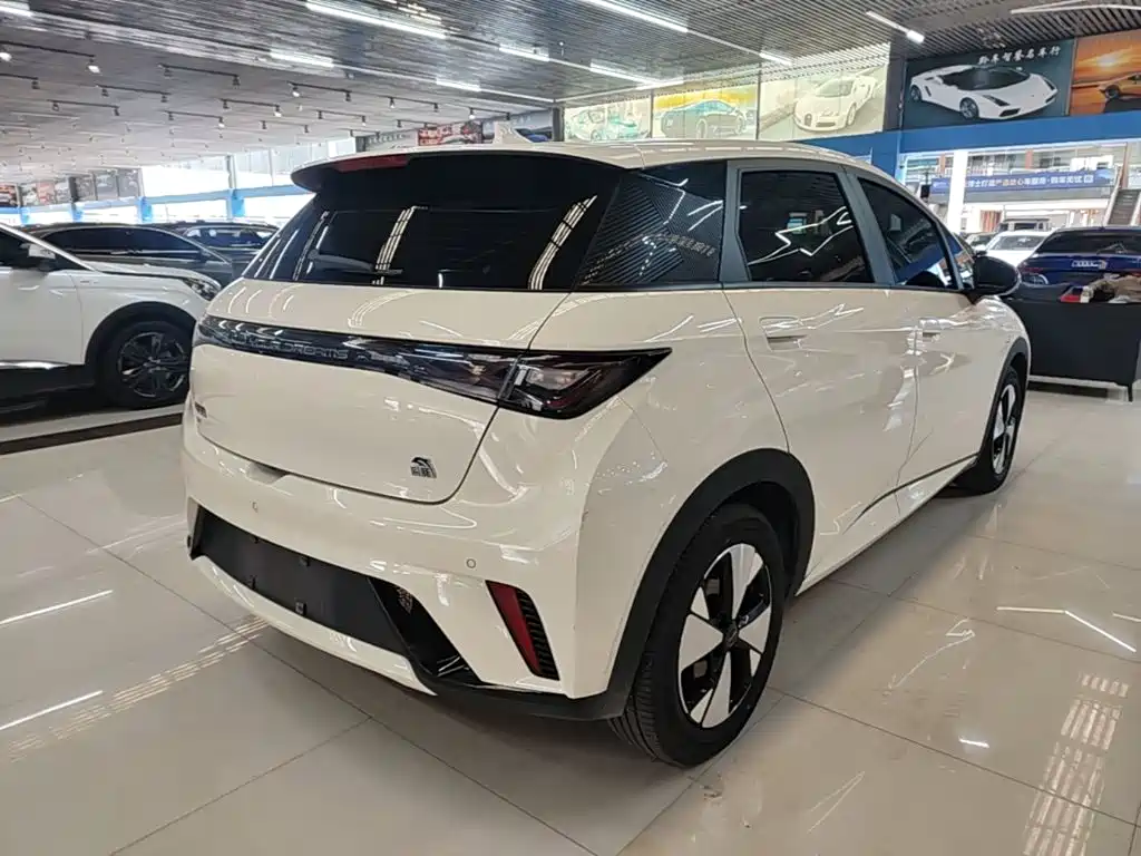 BYD Dolphin 2024