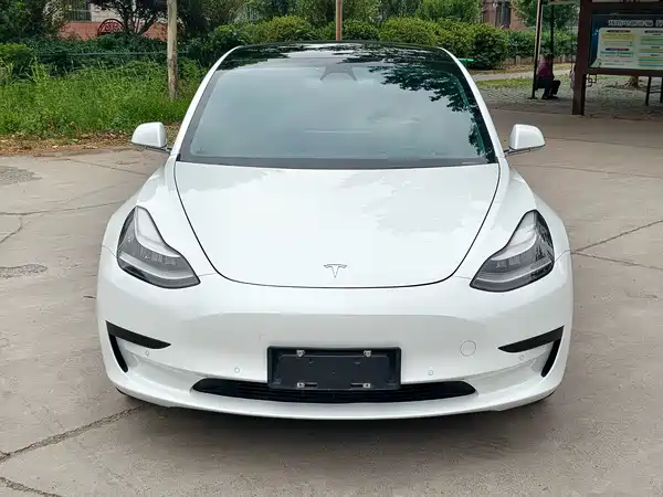 Tesla Model 3 2019