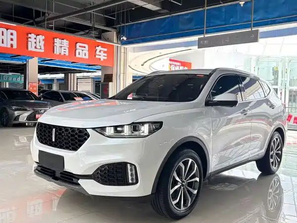 Wey VV6 2019