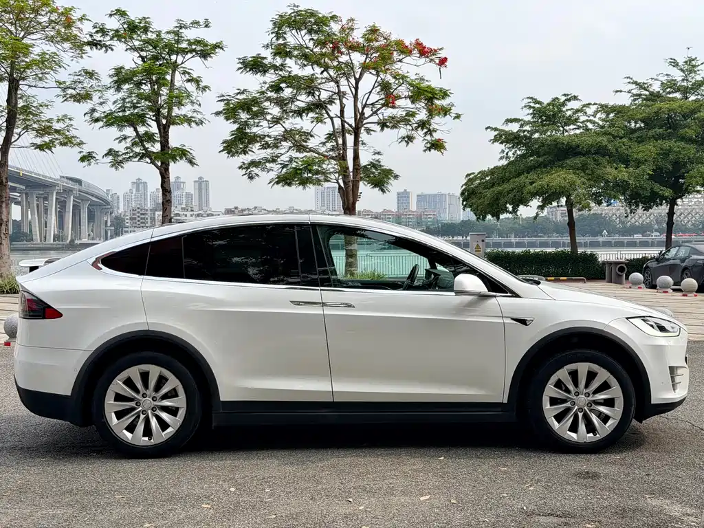 Tesla Model X 2017 — фото 6