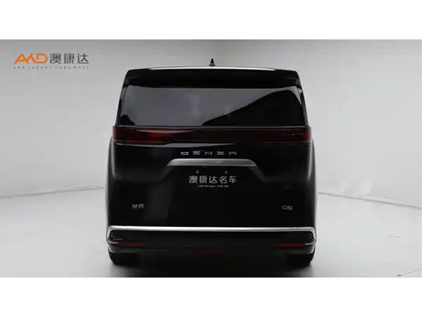 Denza D9 2024