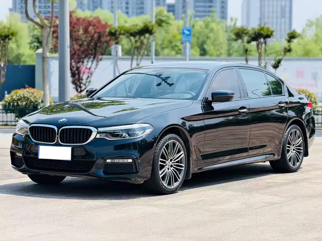 BMW 5 Series 2017 — фото 1