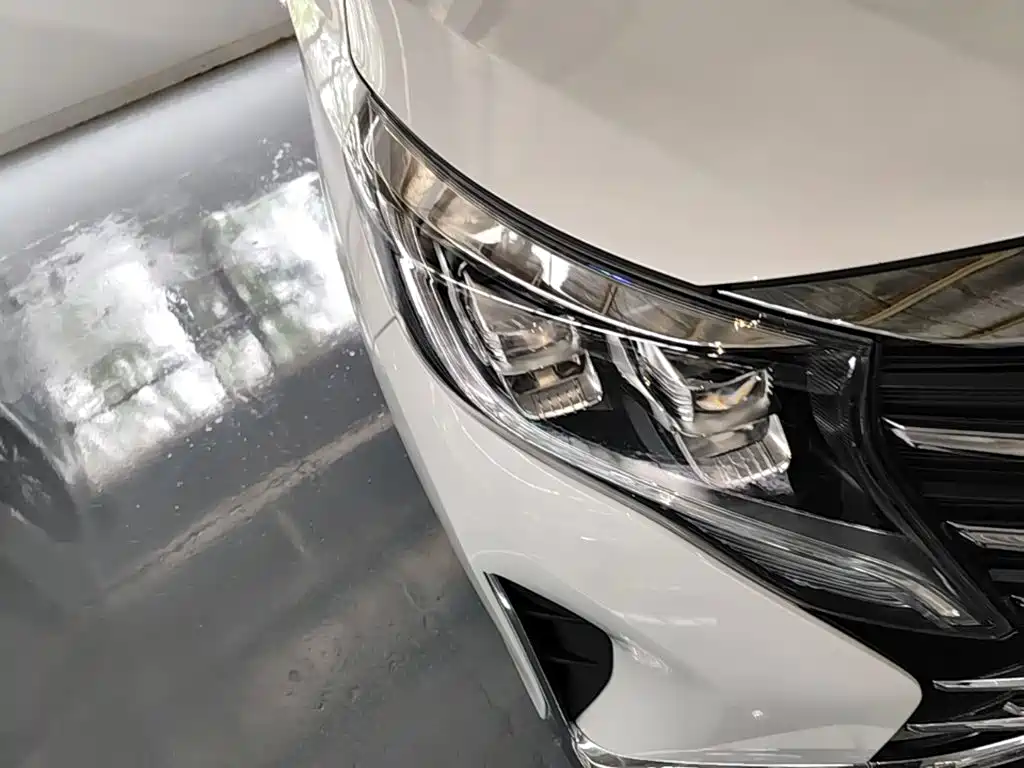 GAC Motor Trumpchi M8 2024 — фото 13