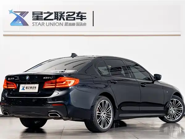 BMW 5 Series 2019