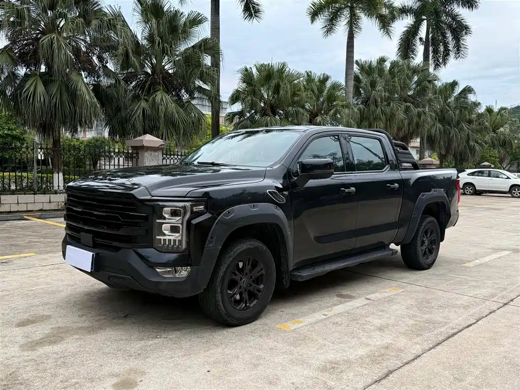 Foton Mars 2024