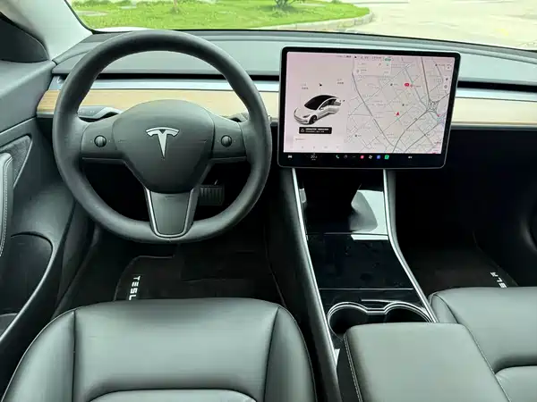 Tesla Model 3 2019