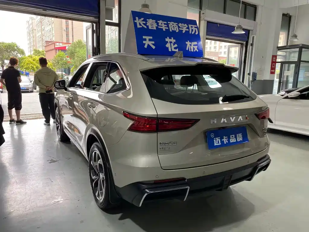 Haval Xiaolong MAX 2024 — фото 17
