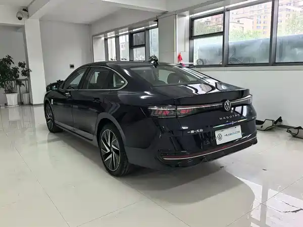 Volkswagen Magotan 2024