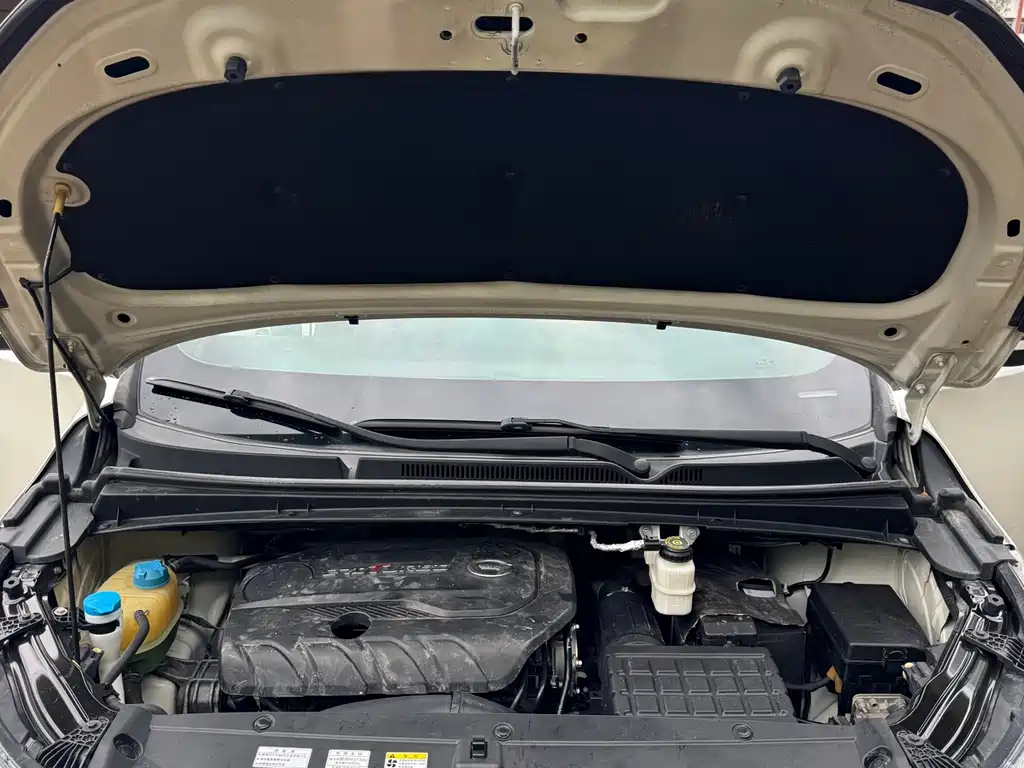 GAC Motor Trumpchi M6 2020 — фото 16