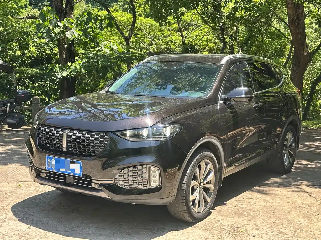 Wey VV6 2020