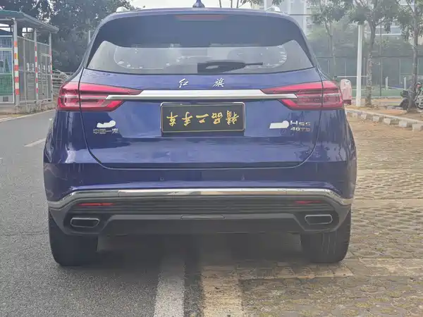 Hongqi HS5 2019