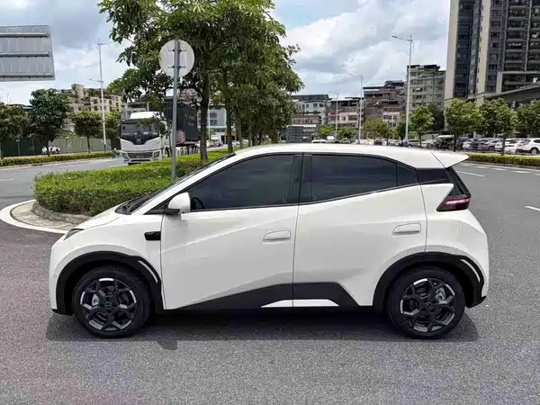 BYD Seagull 2025
