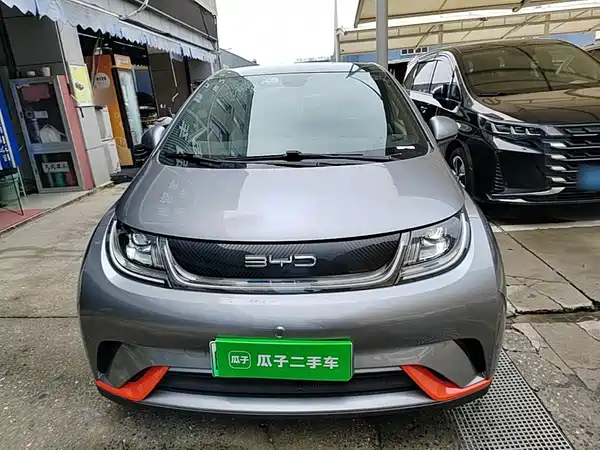 BYD Dolphin 2022