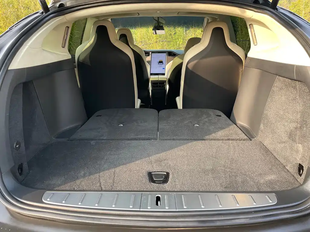 Tesla Model X 2019 — фото 25