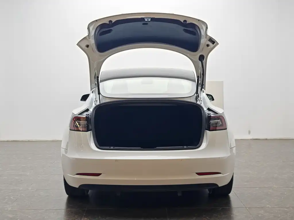 Tesla Model 3 2020 — фото 12