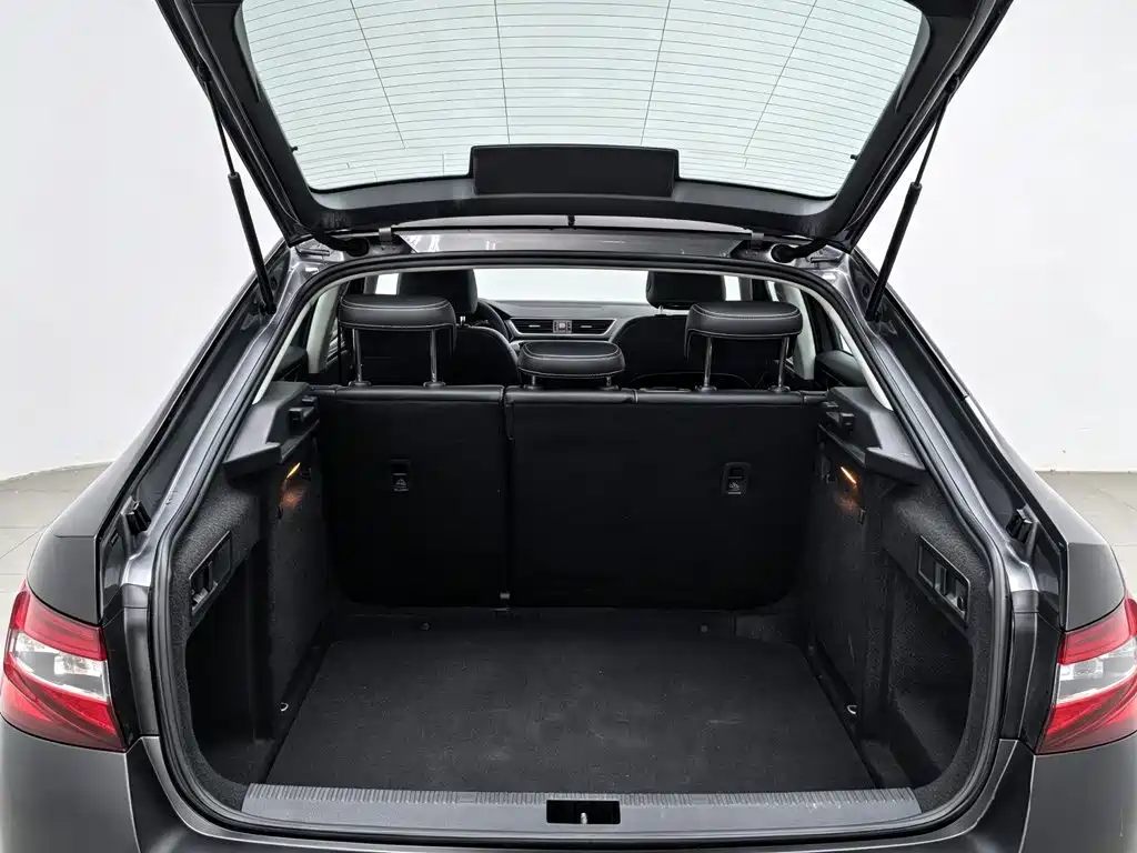 Skoda Speedy 2019 — фото 16