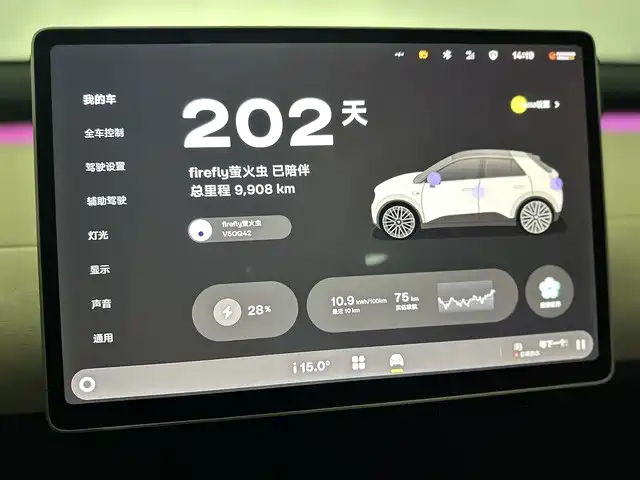 Firefly firefly 2025