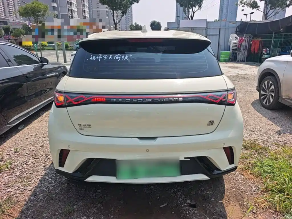 BYD Dolphin 2024