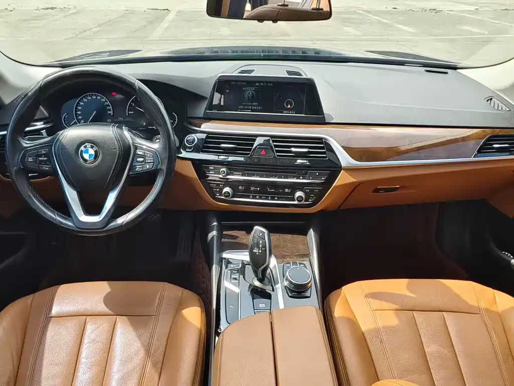 BMW 5 Series 2017 — фото 6