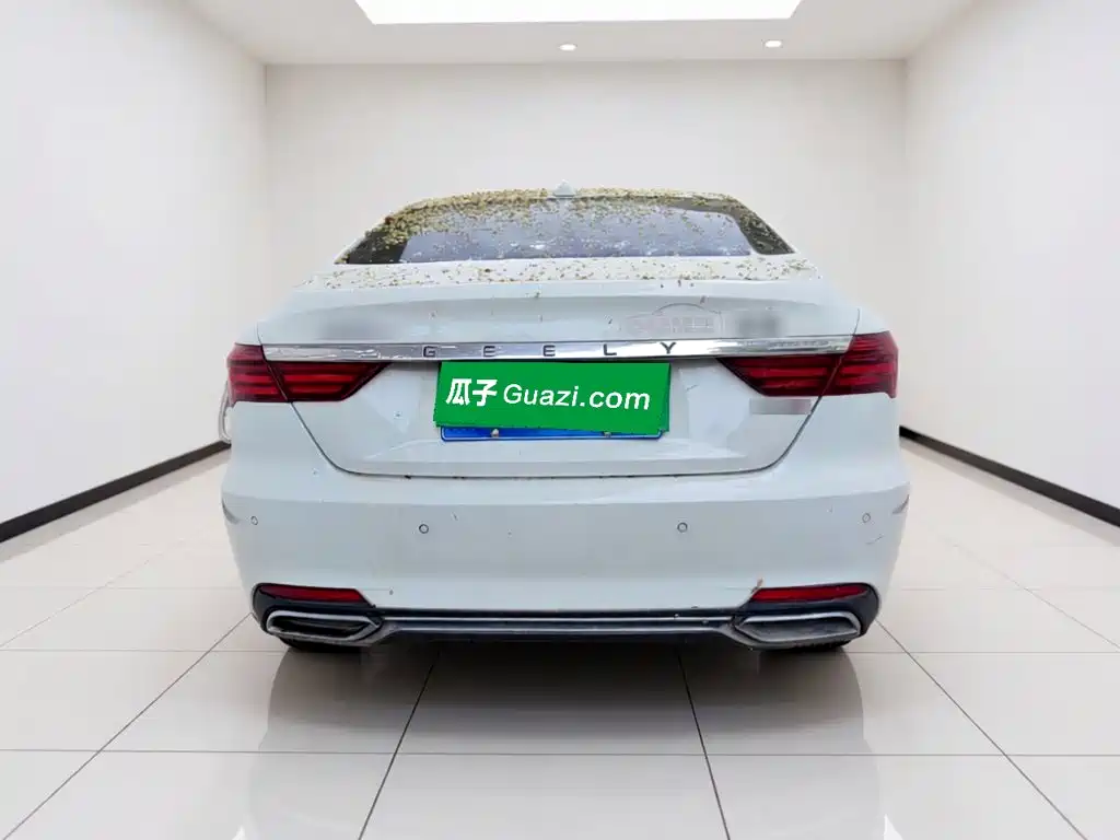 Geely Binrui 2020