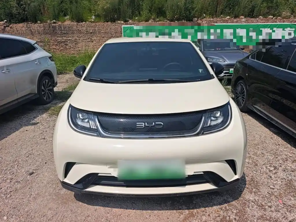 BYD Dolphin 2024